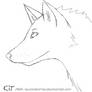 --Wolf Head Sketch--