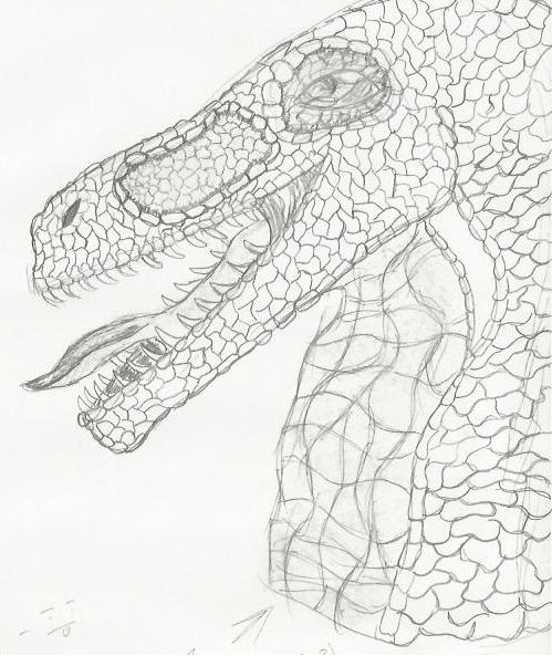 Dinodragonhead3