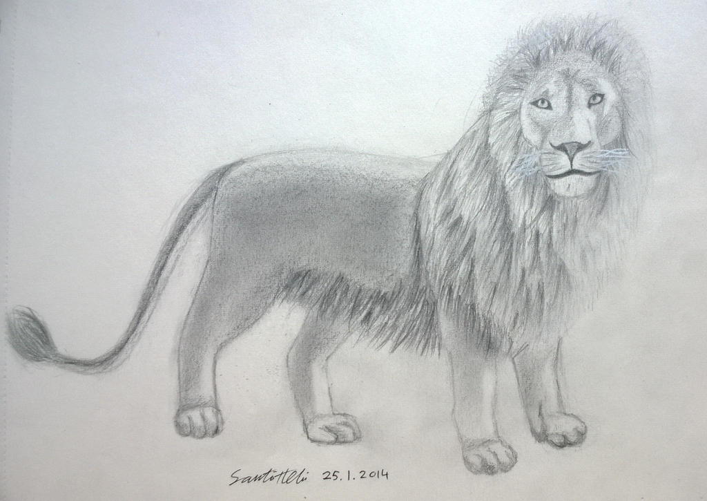 Aslan by falcoillusion982 on DeviantArt