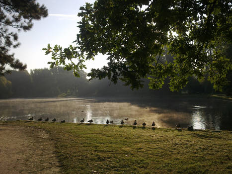 Mist over water