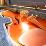 Beauty Of A Violin