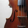Violin Closeup #2