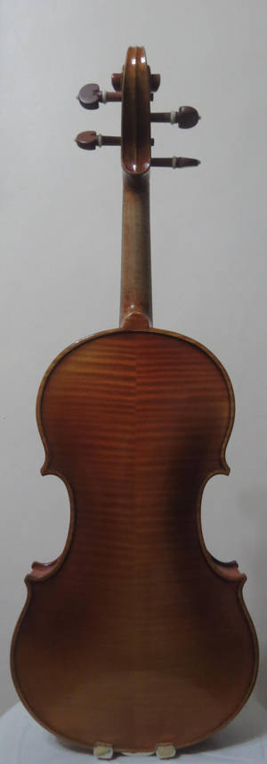 Violin Closeup #8