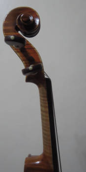 Violin Closeup #9