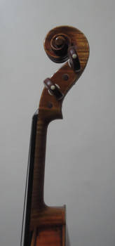 Violin Closeup #10