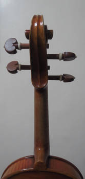 Violin Closeup #12