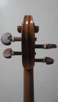 Violin Closeup #13