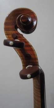 Violin Closeup #14