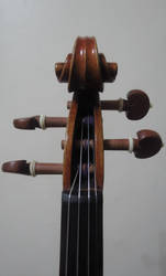Violin Closeup #15