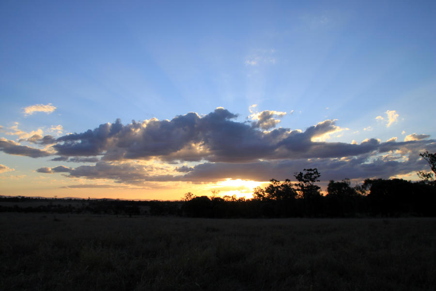 Sunset in the Bush