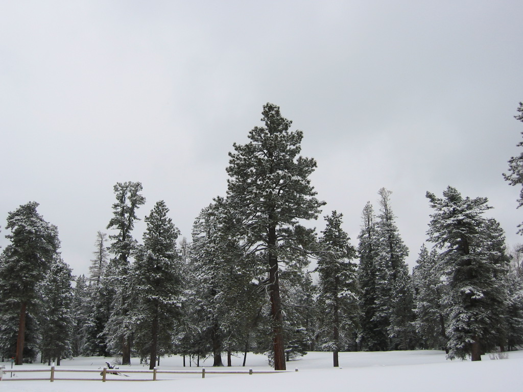 Baca Ranch Camp Baca Ranch 3 by wearemr on DeviantArt
