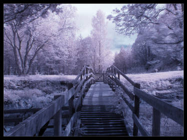 IR Bridge