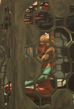 Ahsoka Slave Cage 7