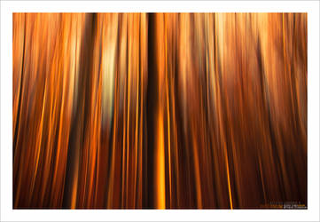 Liquidus - Infernum by AP3RTUR3