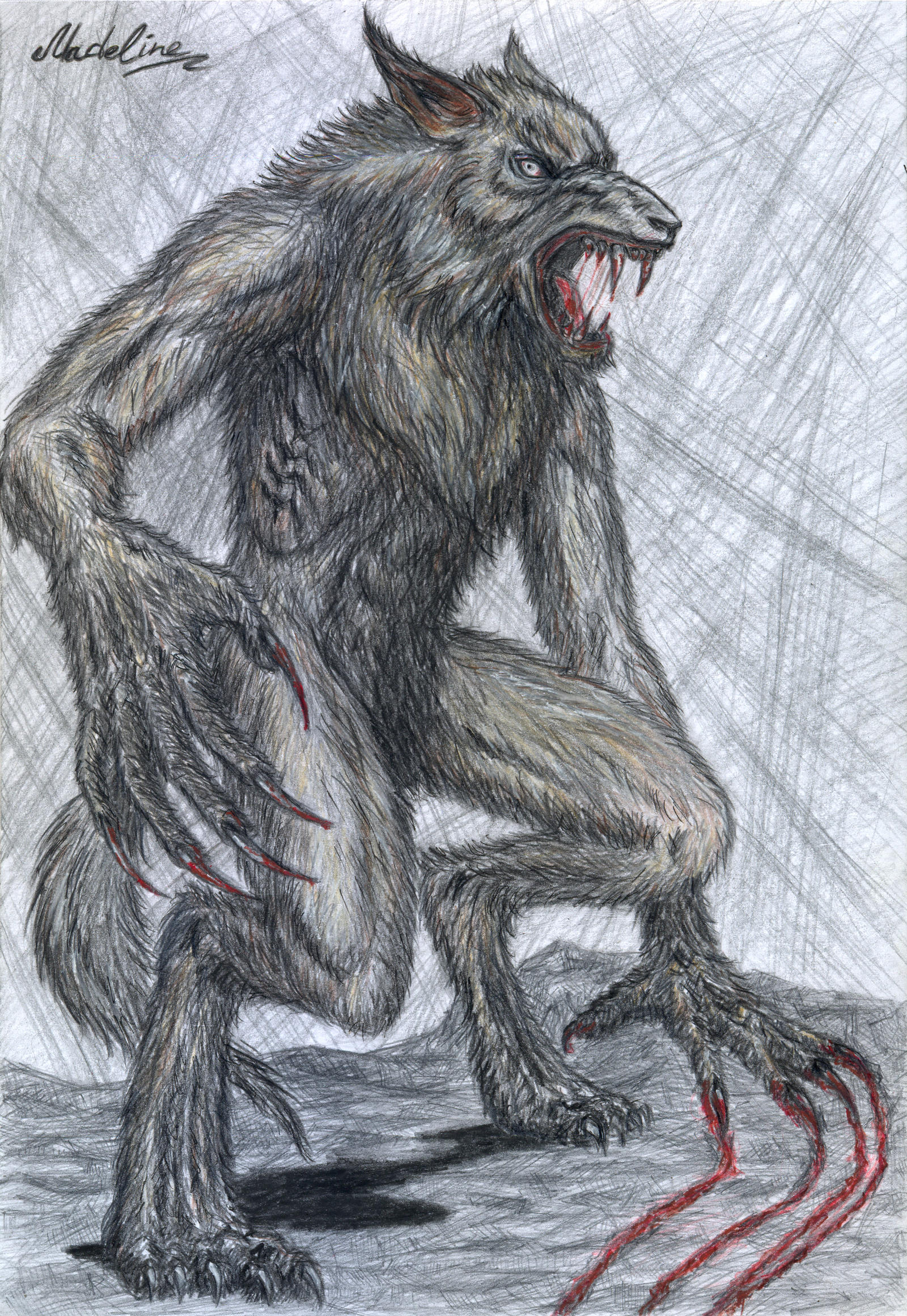 Warewolf Raaaaaaaa Warewolf by MadelineSlytherin on DeviantArt