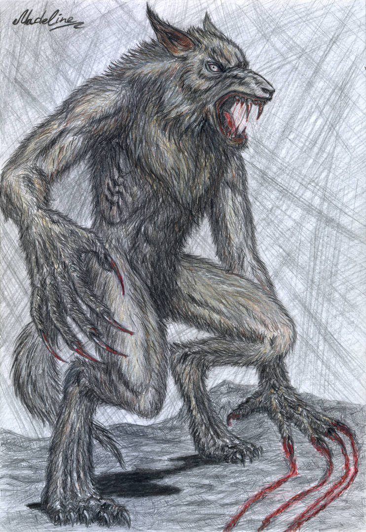 Warewolf by MadelineSlytherin on DeviantArt