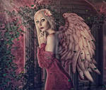 Red angel