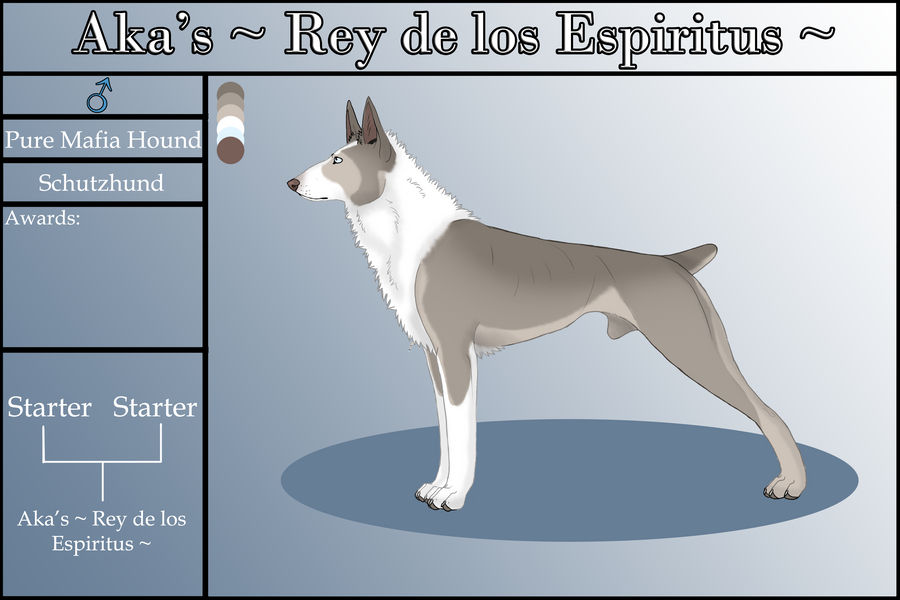 Aka's ~ Rey de los Espiritus ~