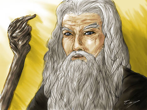 Gandalf - LotR fanart