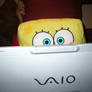 bob and vaio_I