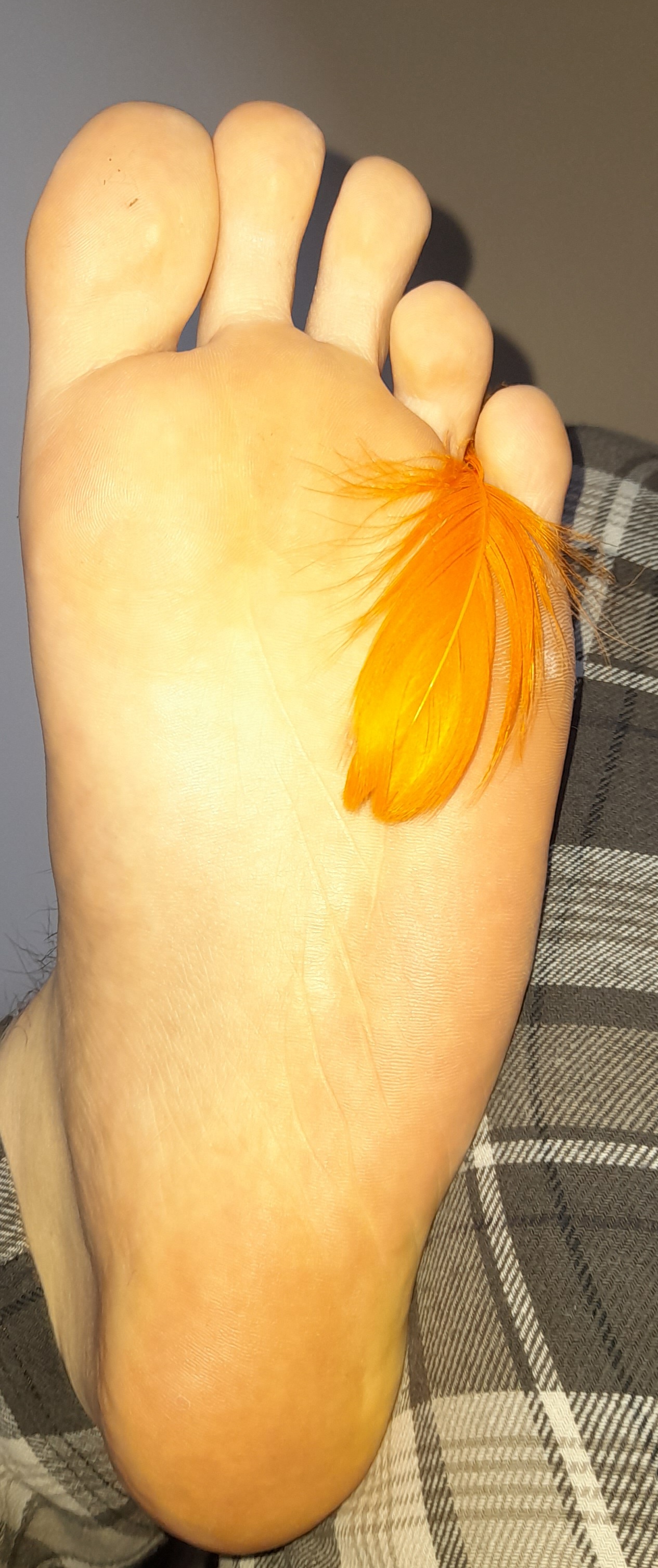 I am feather ticklish (read description) by MRmonkeyman86 on DeviantArt