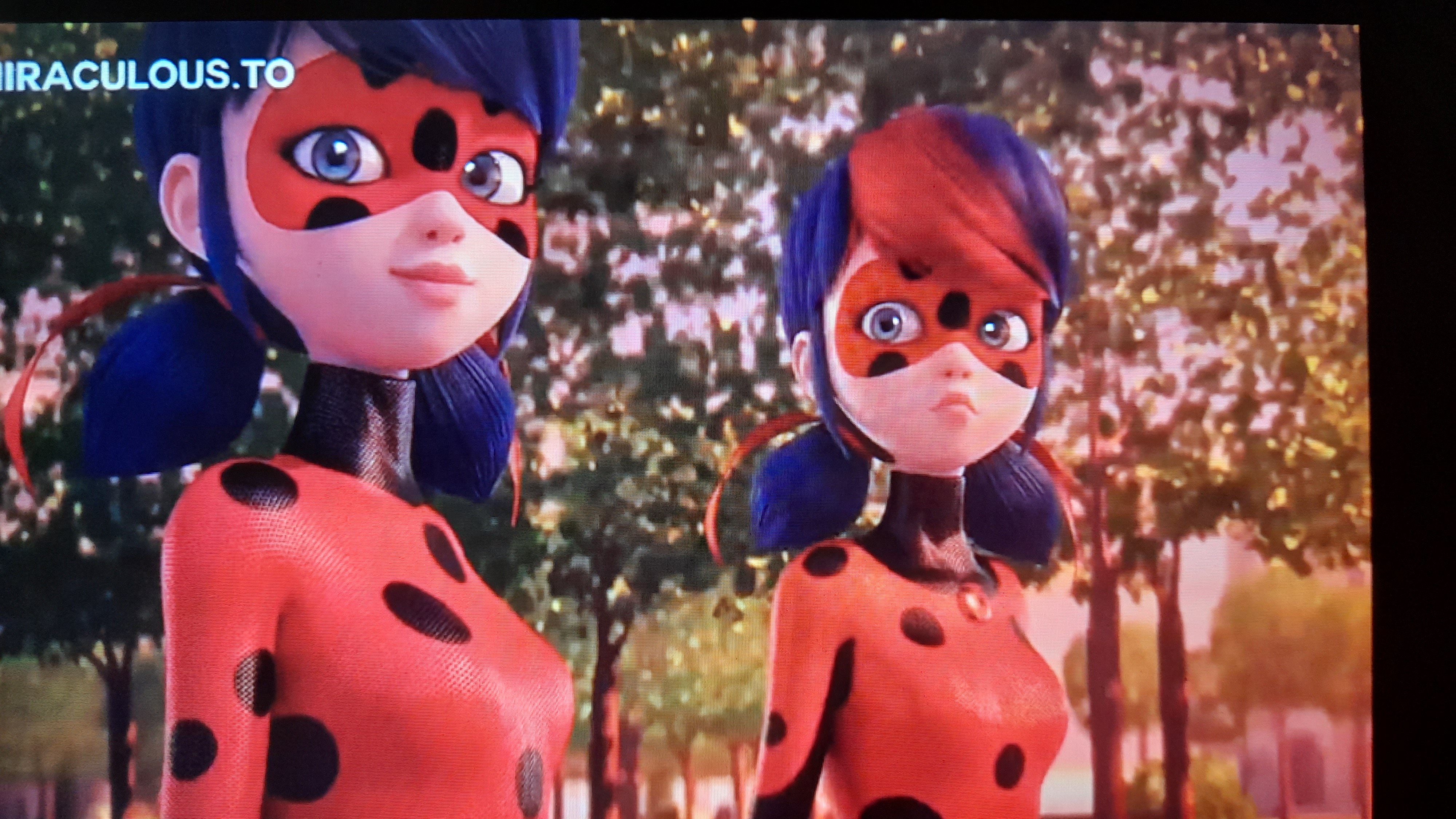 LadyBug And ShadyBug by vanellope256 on DeviantArt