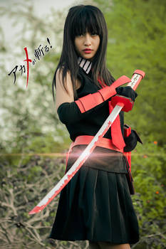 Cosplay Akame ( Akame ga kill )