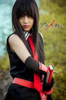 Cosplay Akame ( Akame ga kill )