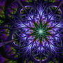 Druidic Splendor