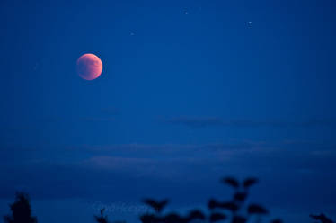 Lunar Eclipse