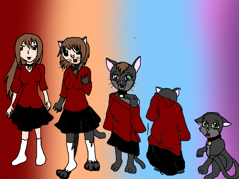 Cat Transformation Anime