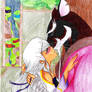 Mary and Splinter's Moment