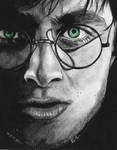 Harry Potter drawing by manueee