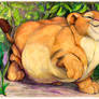 Fat cub Nala