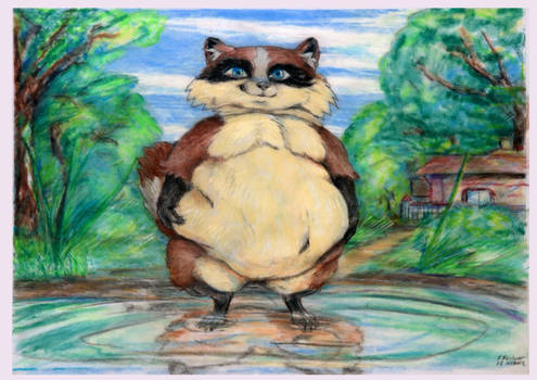 Water pond fat raccoon Girl