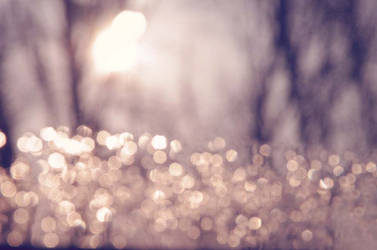 bokeh by Niezaplanowana
