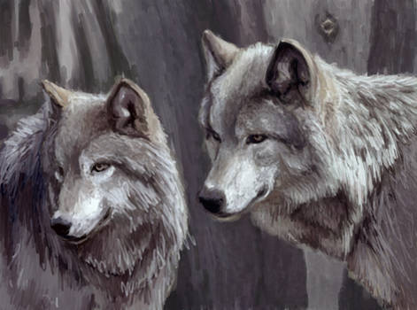 Wolves...