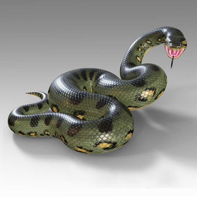 Thick snake. Анаконда змея. Зеленая Анаконда (eunectes murinus). Змеи титана боа и Анаконда. Питон ТИТАНОБОА.