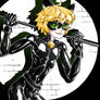 Miraculous Chat Noir