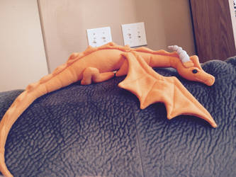 Orange the dragon