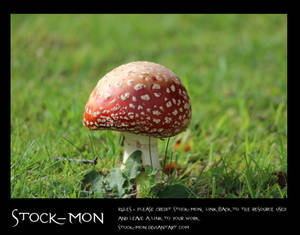 Stock-mon 00846 by stock-mon Stock-mon 00846 by stock-mon