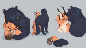 KGHN Big Cat AU sketches