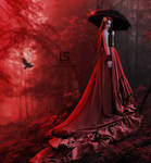 The Aurora Borealis by mysolitaryground