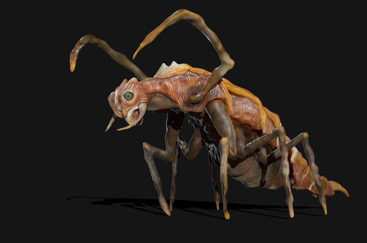 Sci-fi bug creature concept