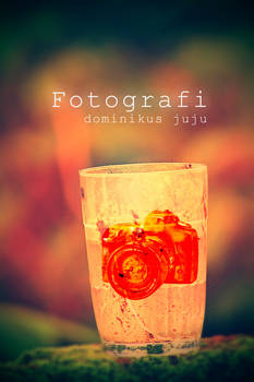 my Fotografi