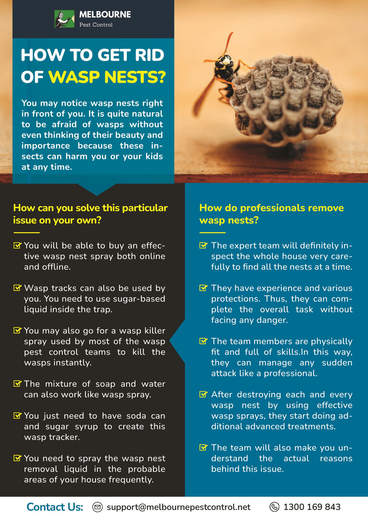 How To Get Rid Of Wasp Nests By Pestcontrolaustralia On Deviantart How To Get Rid Of Wasp Nests By Pestcontrolaustralia On Deviantart