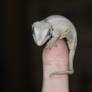 Thumb-Gecko