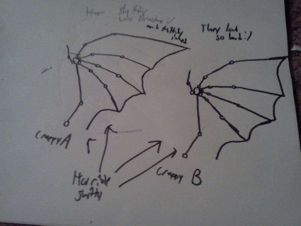 Very Bad Wing structure. by SpiritDragonTano on DeviantArt