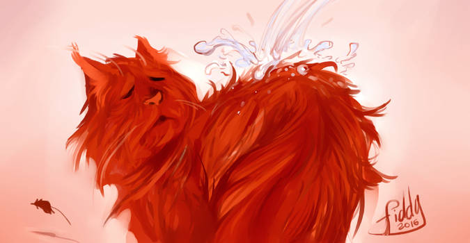 WASHING OF THE RED CAT