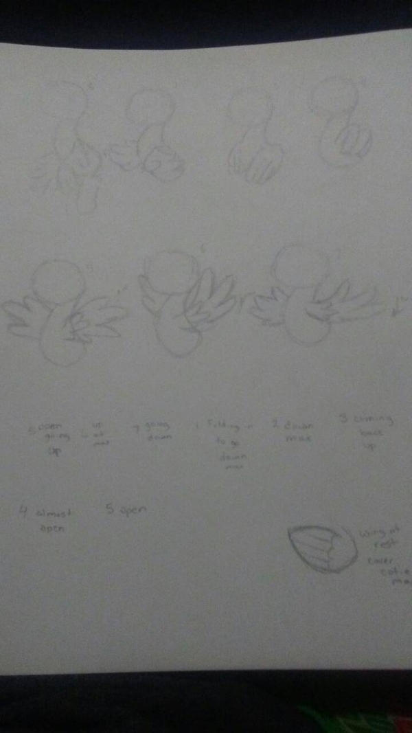 Mlp Flying Animation Loop Guide mlp wing tutorial by Shyla-Harper on DeviantArt